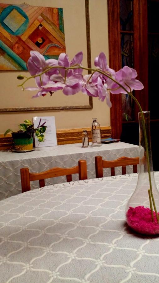 Dante Y Compañía Hostal